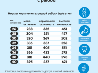 Полнорационный Сухой корм для собак крупных пород с рыбой Полнорационный Сухой корм для собак крупных пород с рыбой