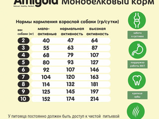 Полнорационный сухой корм для мелких пород с индейкой