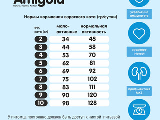 Сухой корм для стерилизованных кошек  рыбой