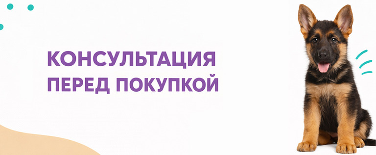 Купить щенка немецкой овчарки Купить щенка немецкой овчарки