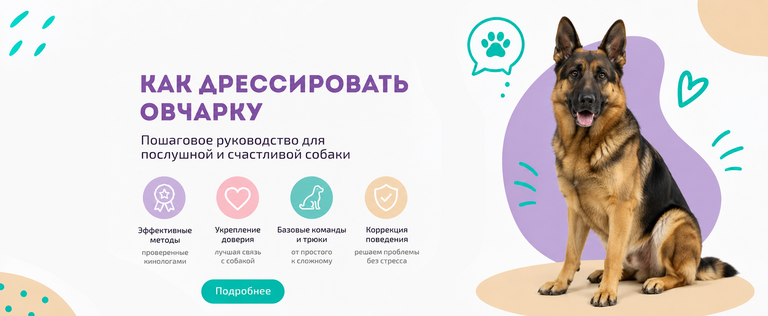 Как дрессировать овчарку Как дрессировать овчарку